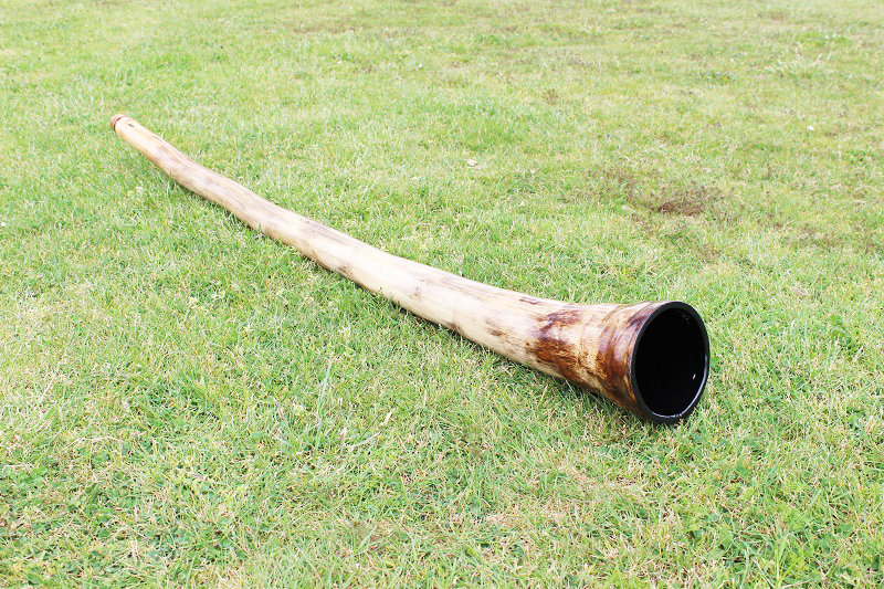 Agave Didgeridoo Key F 432hz “Heart Path” Primaltones