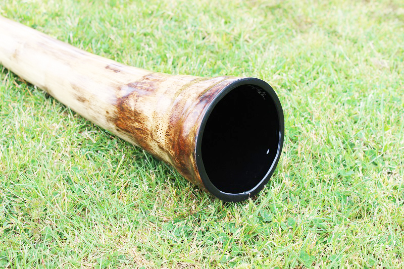 Agave Didgeridoo Key F 432hz “Heart Path” Primaltones